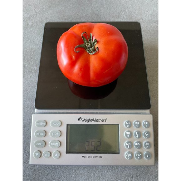 Weight Watchers Electronic Food Scale with Points Values Database - Picture 1 of 4